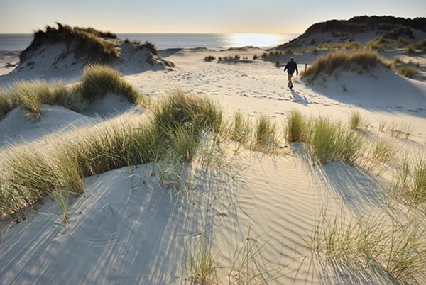 Heerlijk Vrijstaand Huis Aan De Duinen Burgh-Haamstede Exteriér fotografie